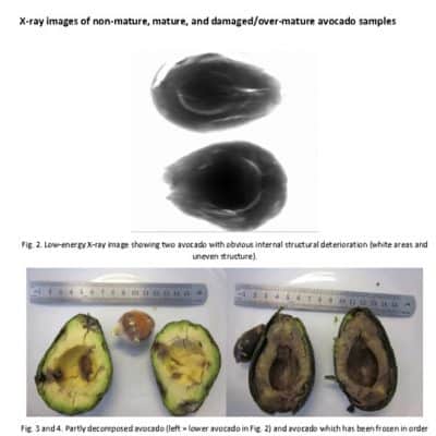 fruits inspections xray