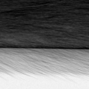 X-ray inspection of fur clothing – product & process control 1 X-ray inspection of fur clothing – product & process control 1