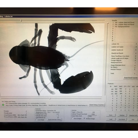 X-ray inspection of seafood – lobster – product & process control 3