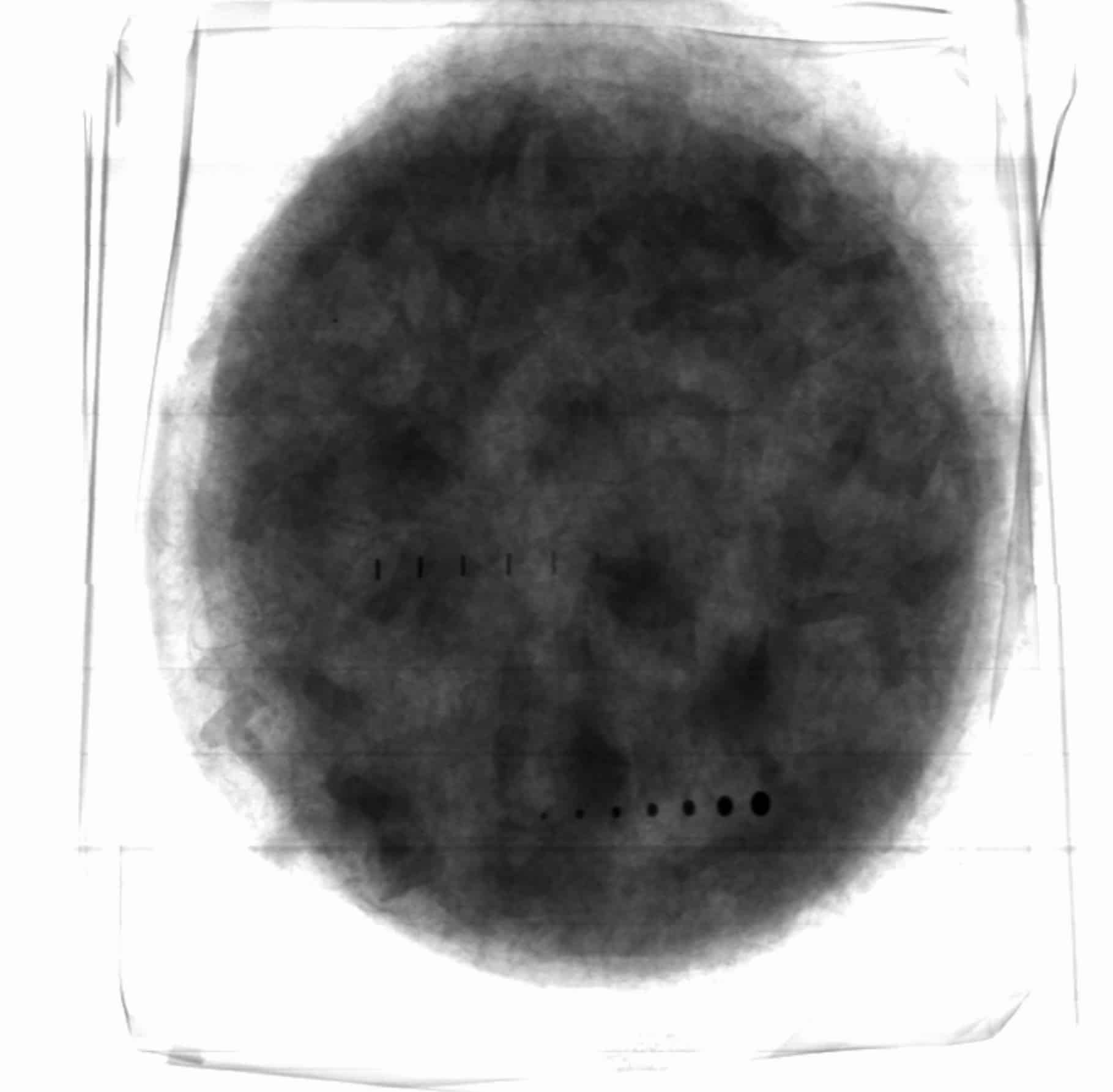 X-ray inspection of large products & large packages 3