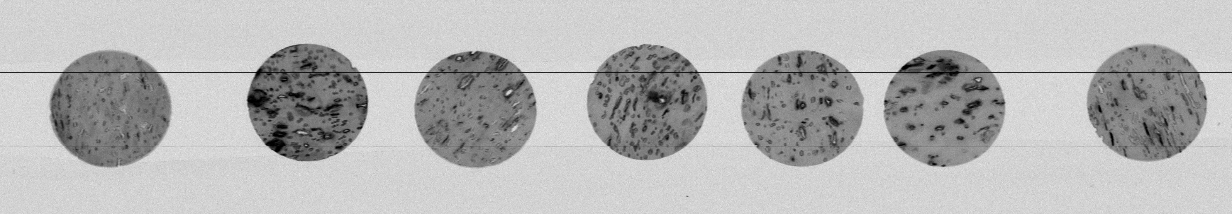 cork inspection xray