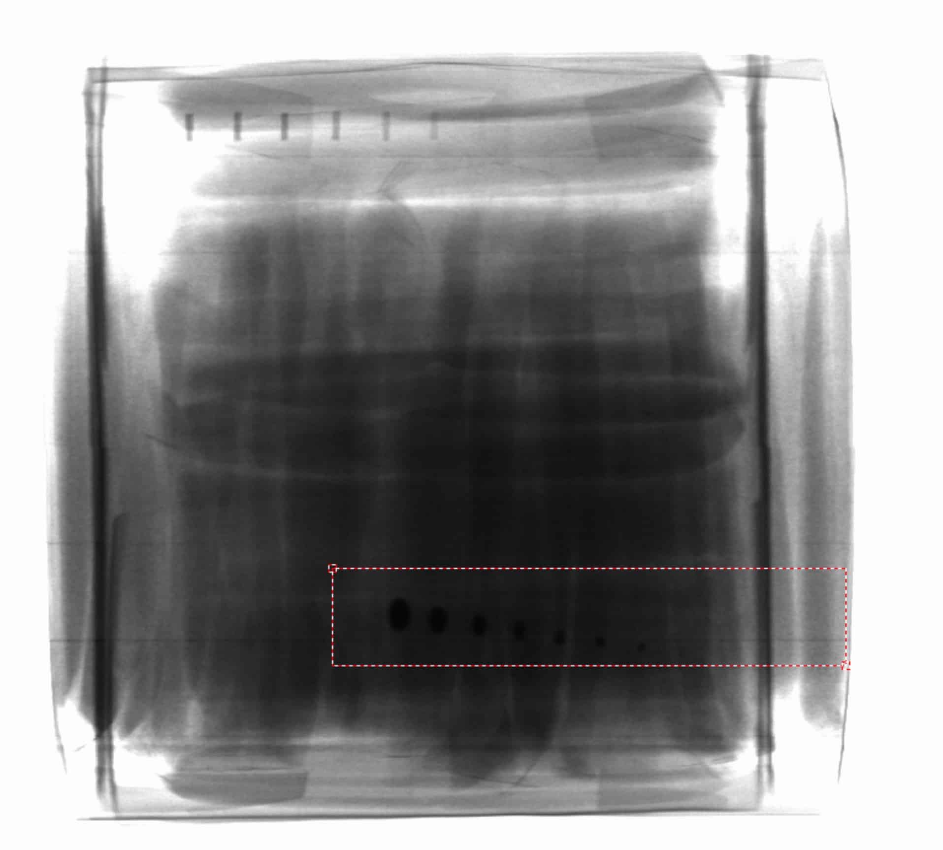 coffee x-ray