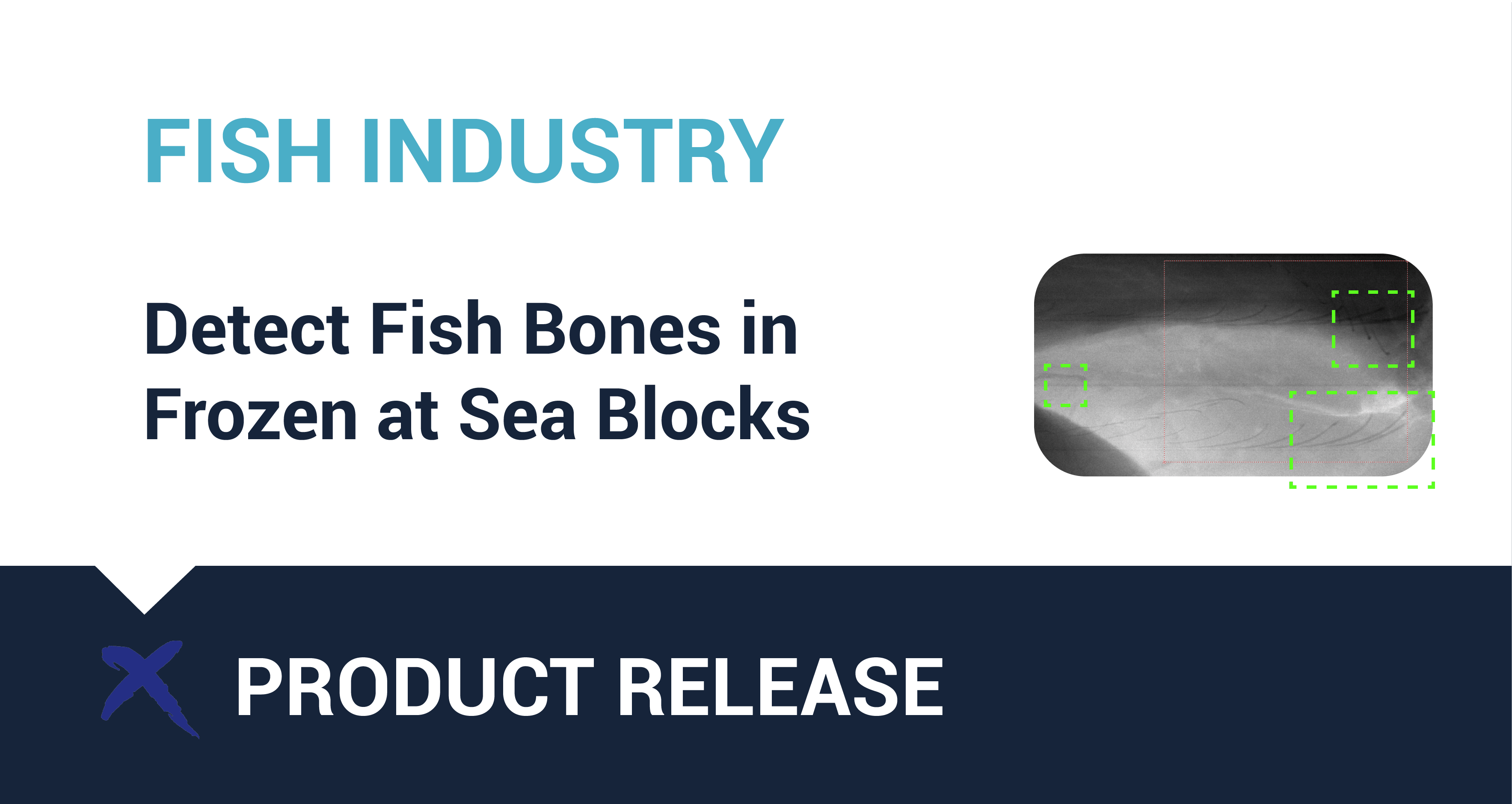 fish bone detection blocks