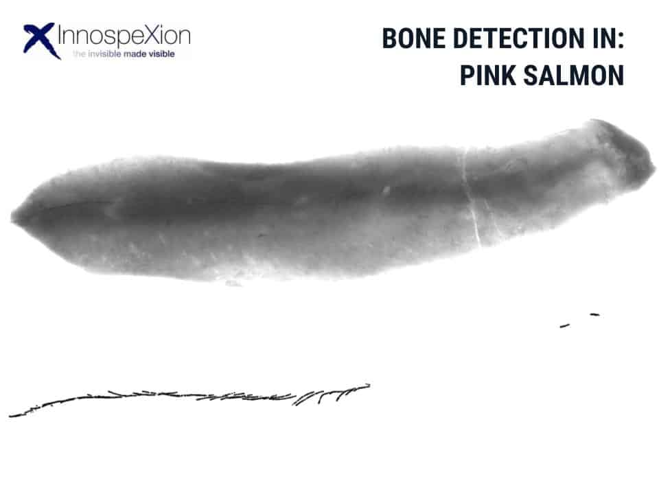pin bone detection
